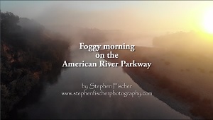 Foggy morning over the American River Parkway video