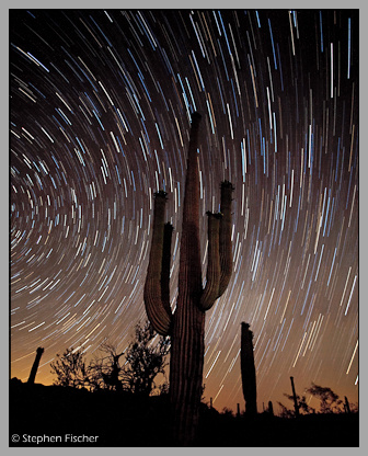 Cactus star trails