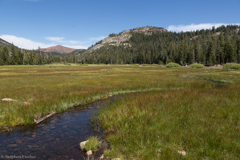 Loney Meadow with Texas Creek