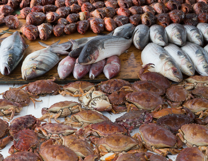 Potpourri of seafood