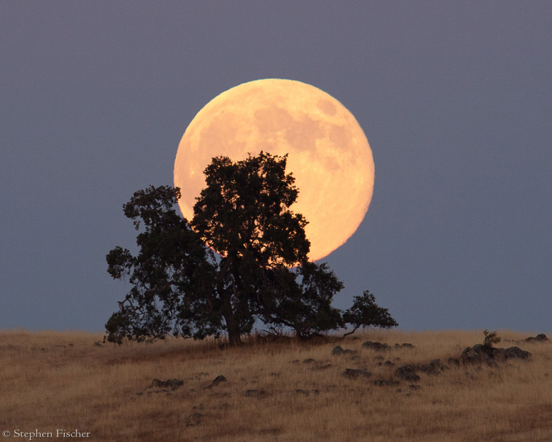 Foothill moonrise