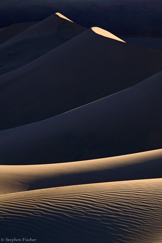 Dune highlights