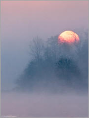 Sunrise through the fog