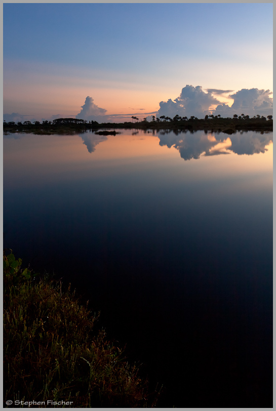 Dawn on the tropics