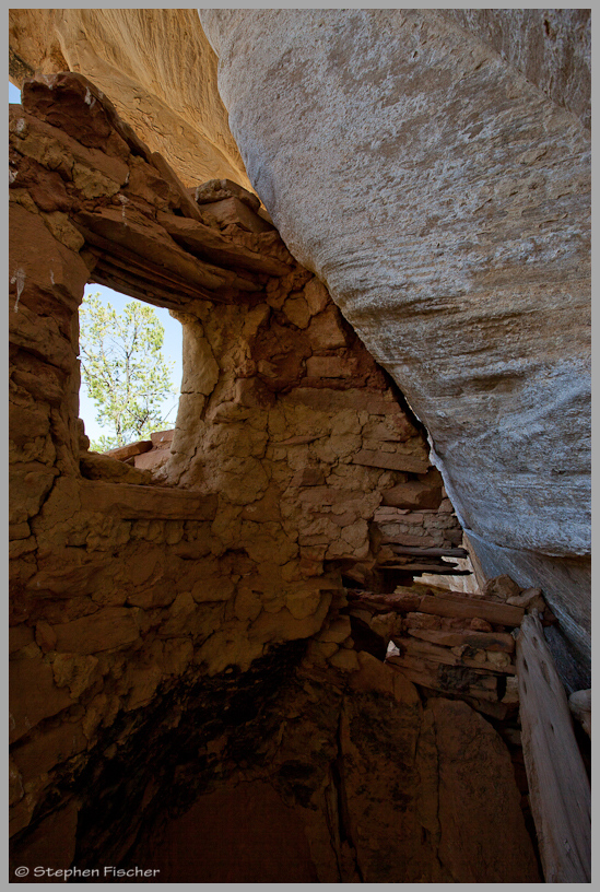 Inside the yellow house