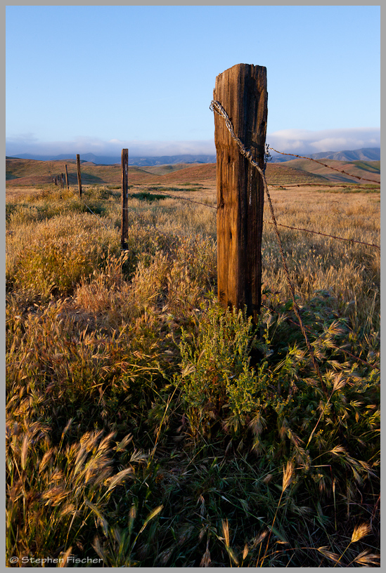 Old fence line