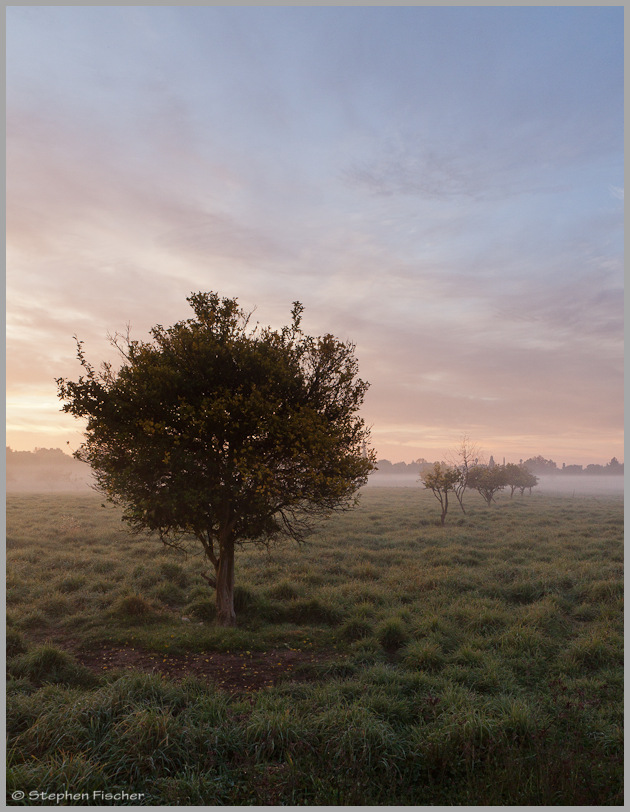 Pastel morning