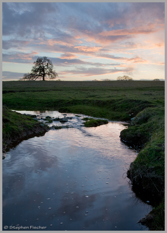 Sky and the stream