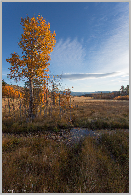 Autumn meadow morning