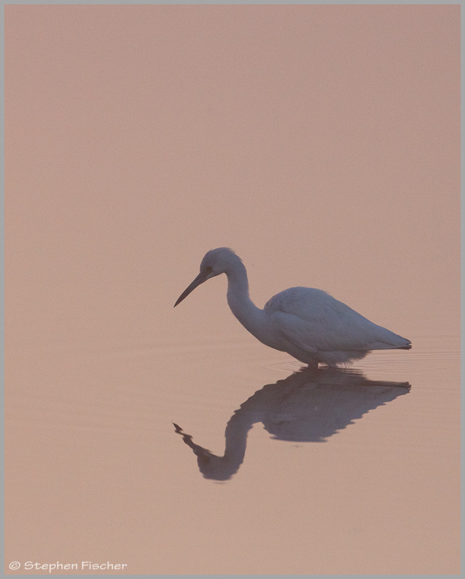 Fishing in the sky