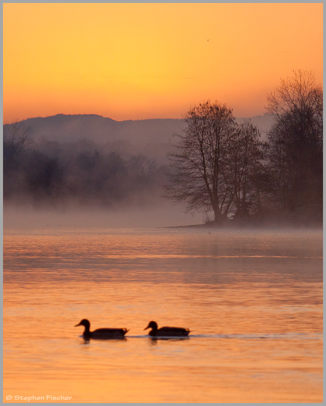 Sunrise river glow