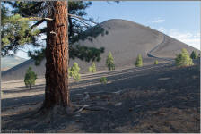 View to the Cinder Cone