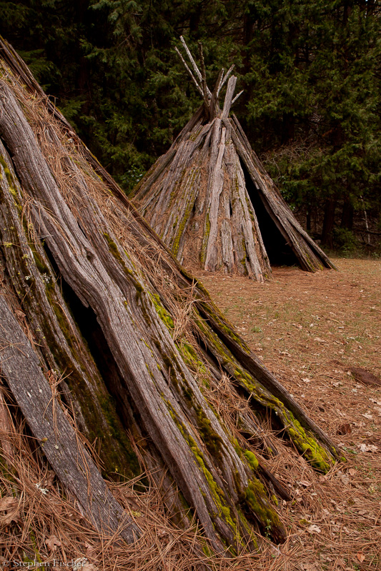 Native cedar houses