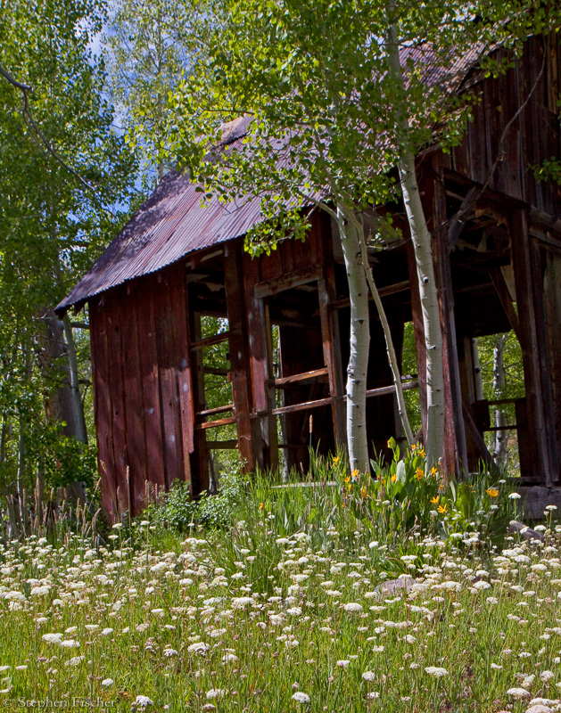 Cabin in the meadow