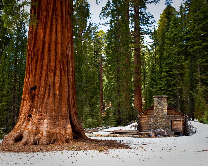 Galen Clark's cabin