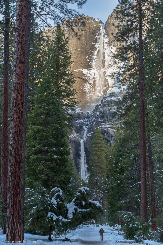 Yosemite falls morning