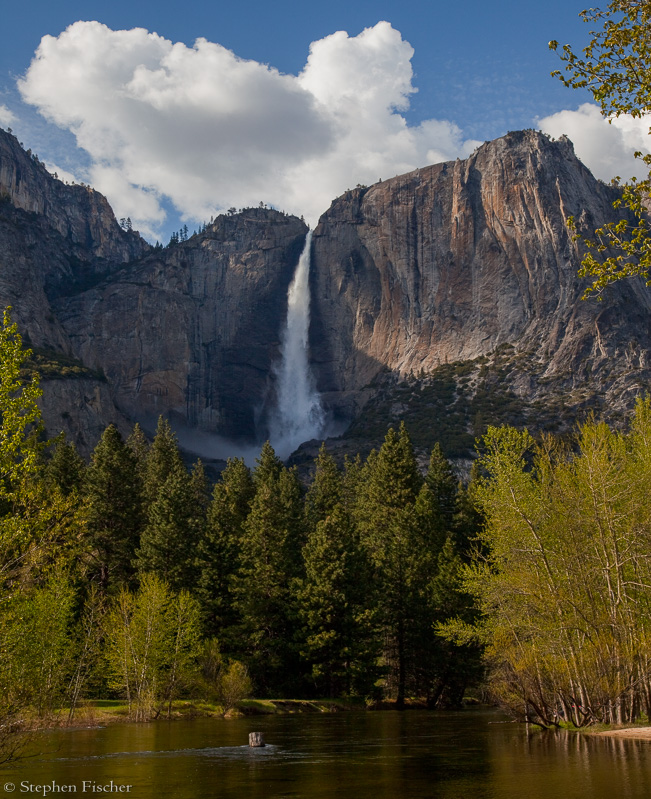 Yosemite falls and the Merced river
