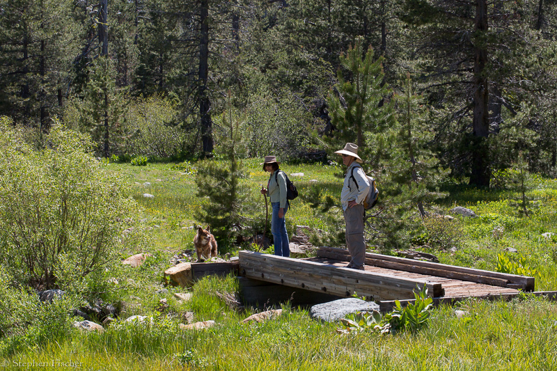 Loney Meadow bridge