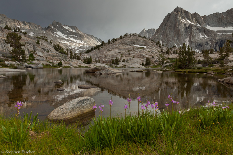 Alpine lake shooting stars