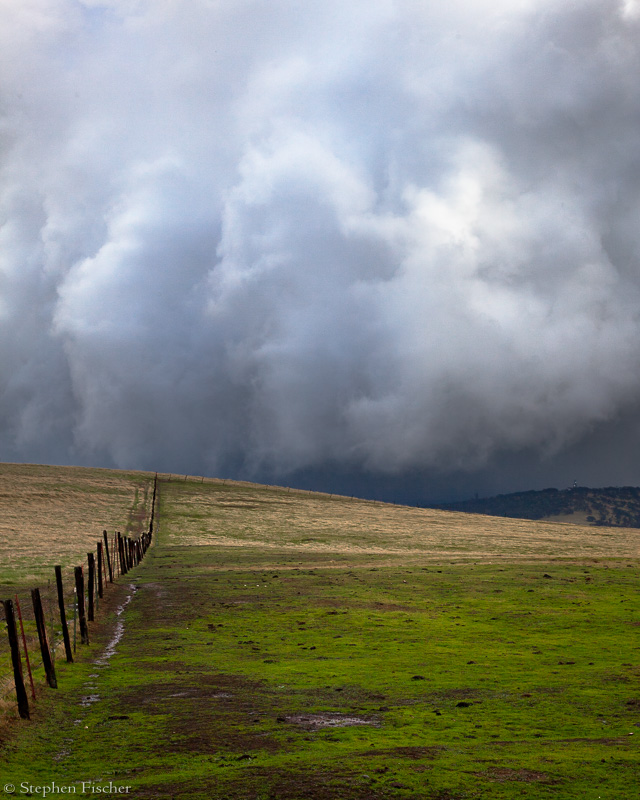 Fence line