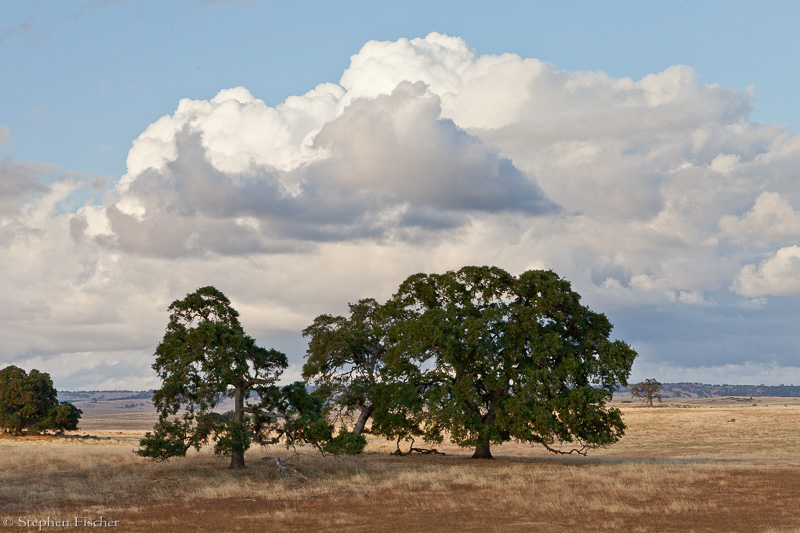 Foothill sky