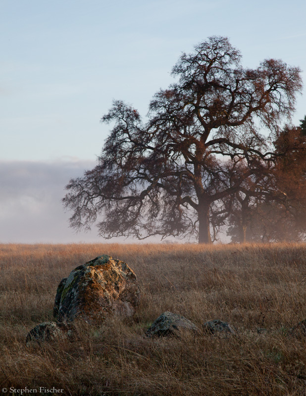 Morning mist