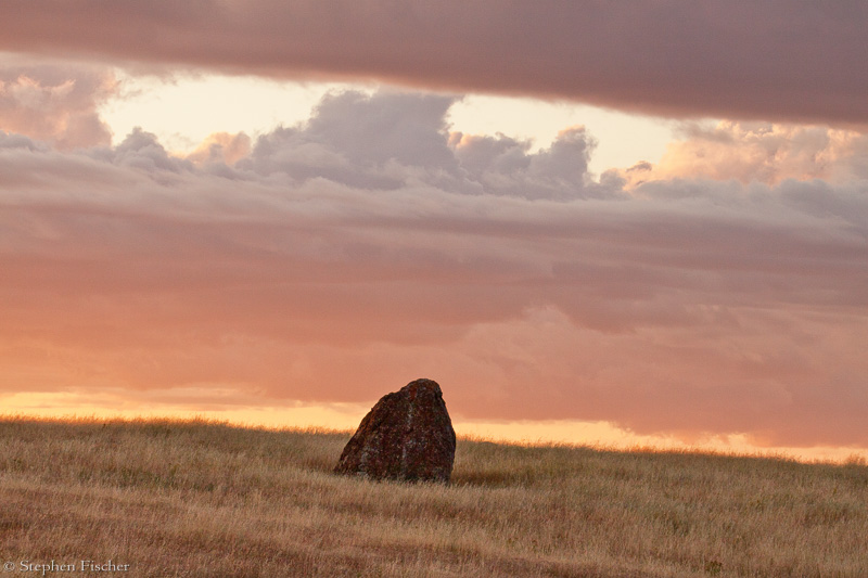 The stone