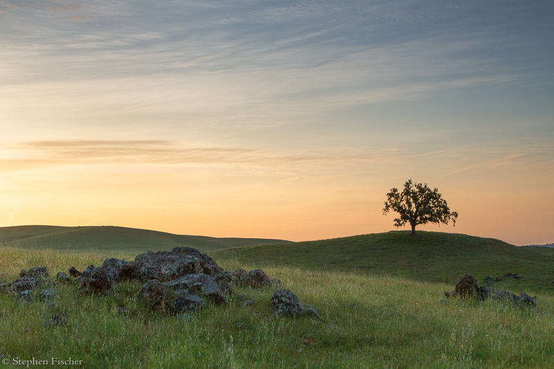 Green fields