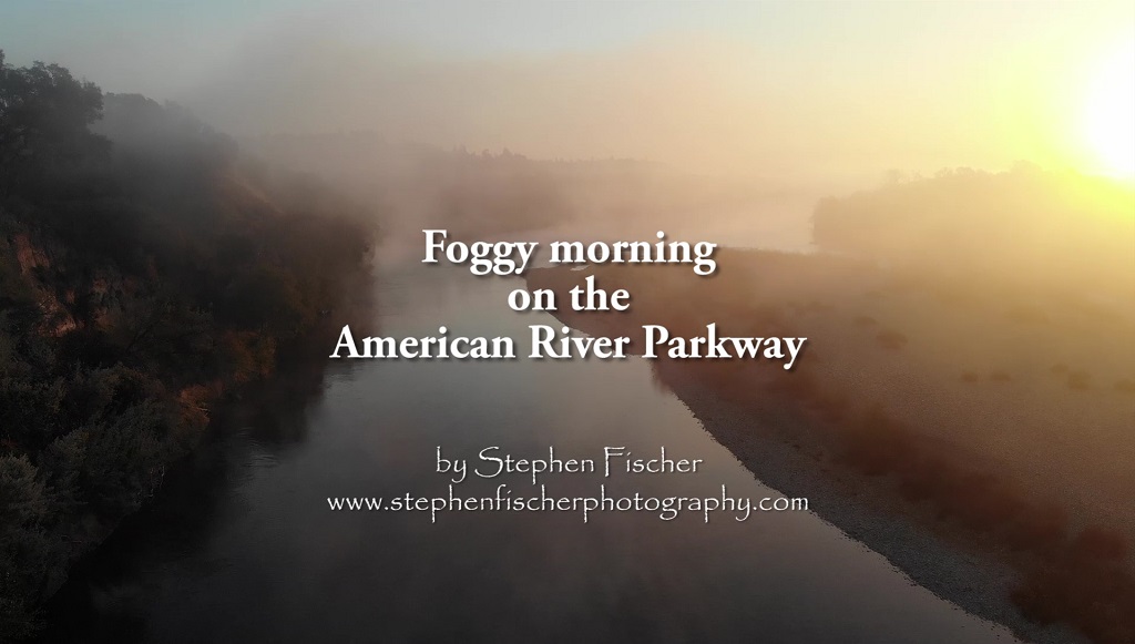 video of the American River Parkway on a foggy morning