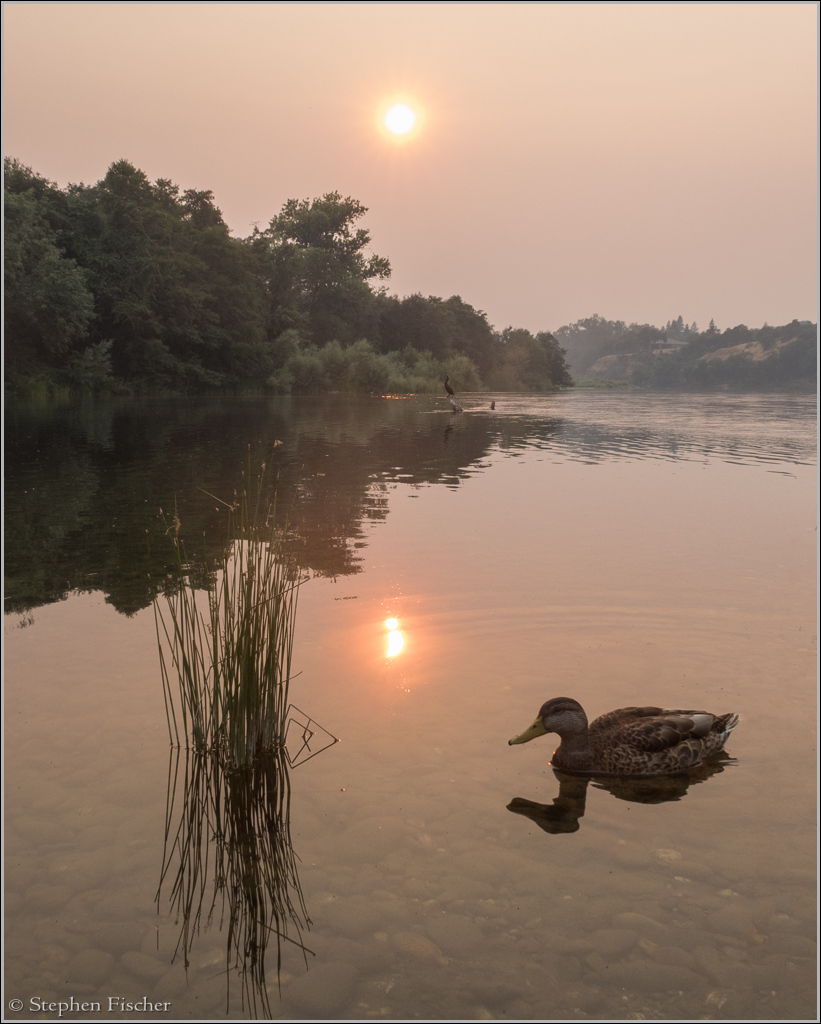 Burning skies at sunset along the American River Parkway