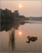 Smokey sunset at the American River Parkway