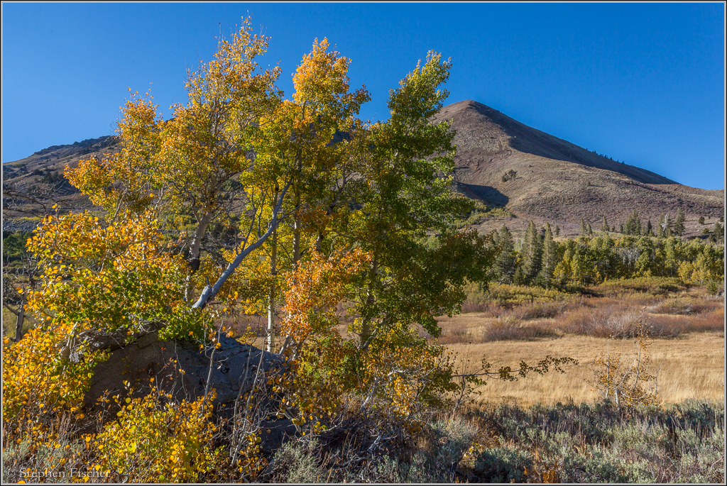 Fall colors on Carson Pass