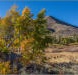 Carson basin fall colors