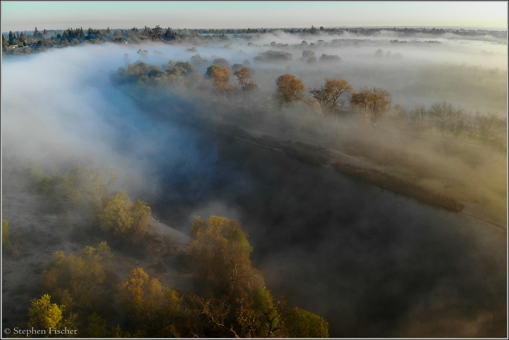 American River Parkway in the fog