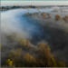 American river parkway in the fog