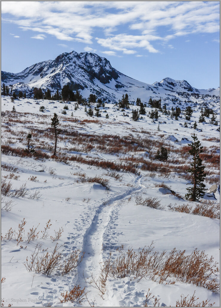 Snow hike to Roundtop mountain