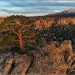 Volcanic tablelands of the Mono basin